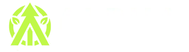 Alpha Infotech Logo